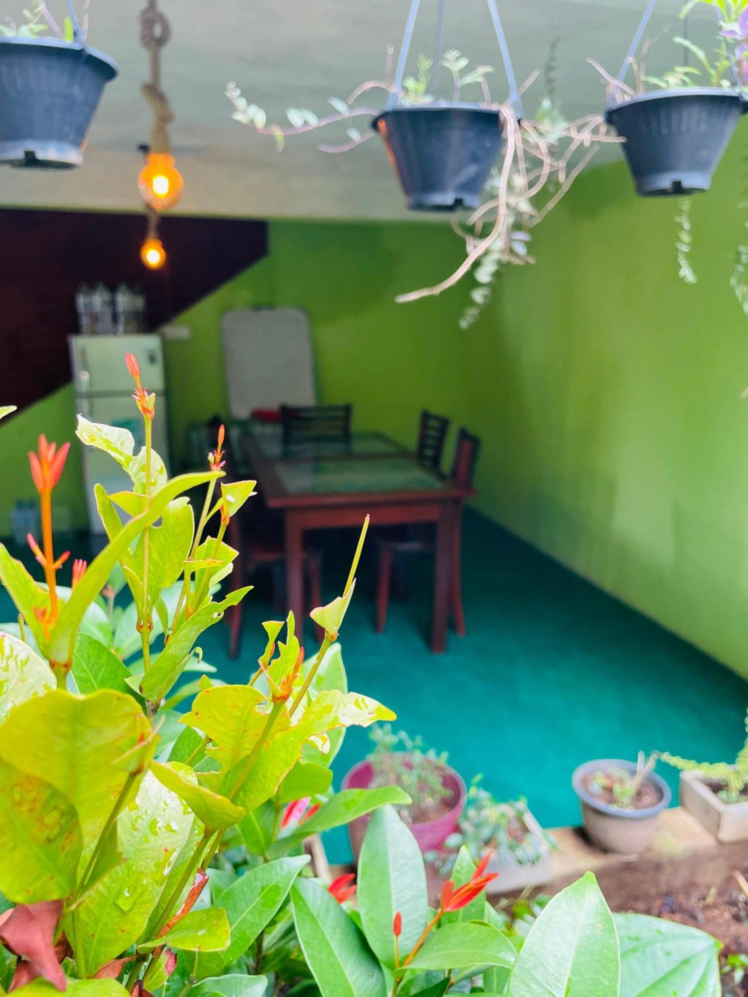 Little Paradise Homestay Ella Eksteriør billede